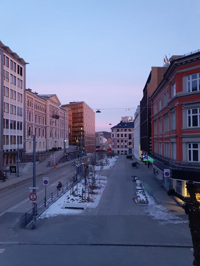 Lejlighed Bright And Charming From 1878 With View To The New National Museum In