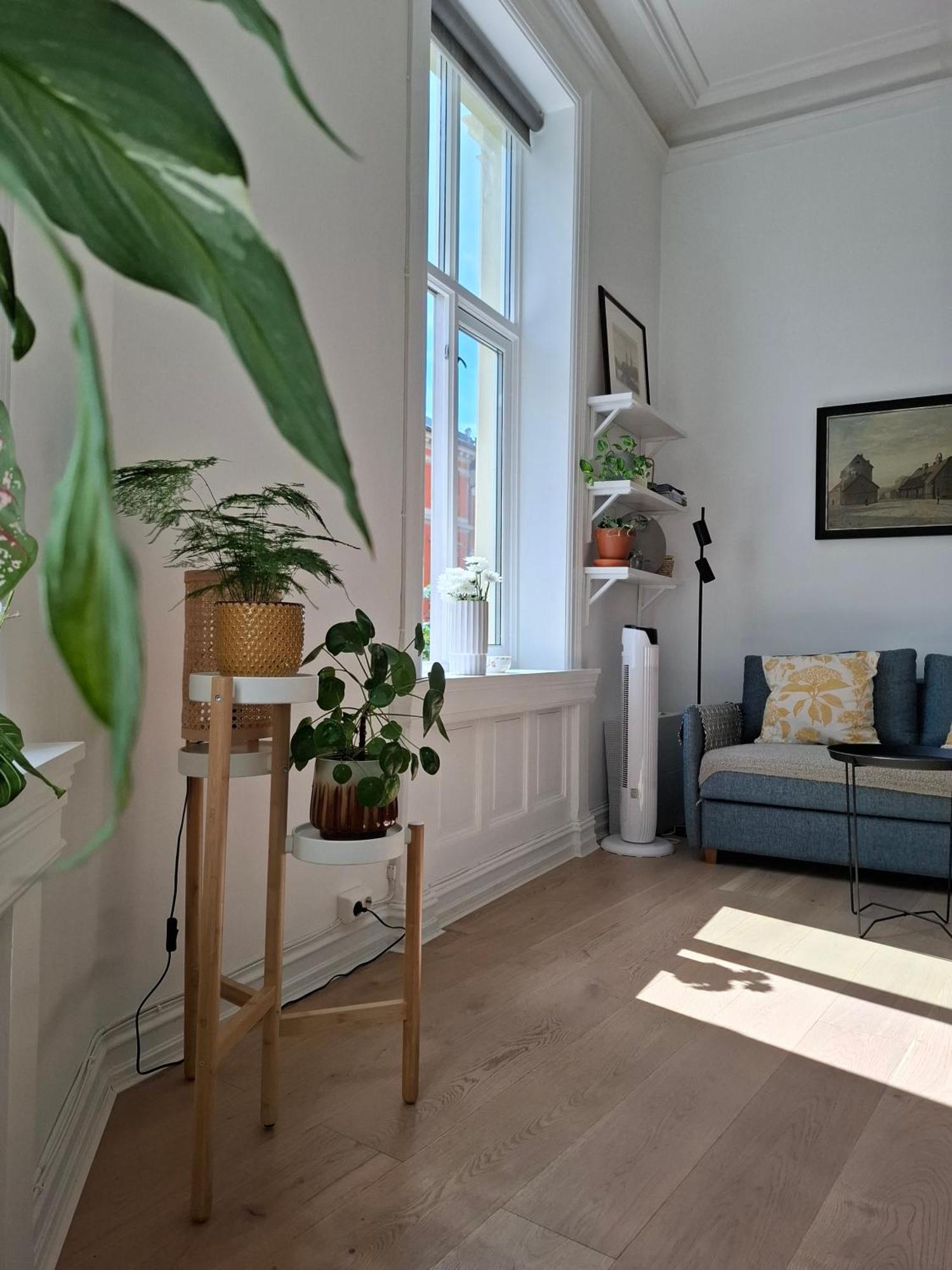 Bright And Charming From 1878 With View To The New National Museum In